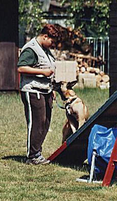 Kontaktzonentraining mit MacNelly 