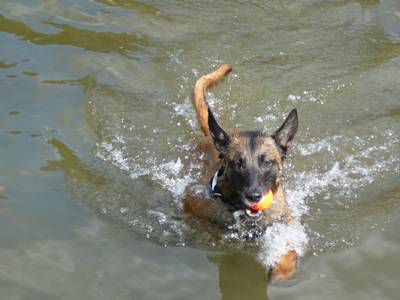 baden
