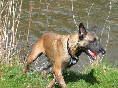 baden