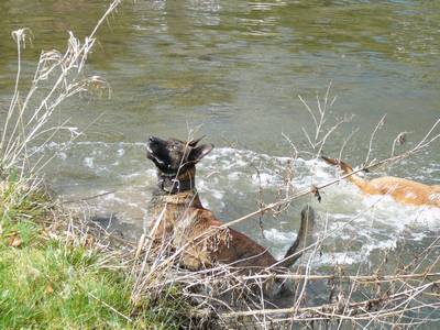 baden