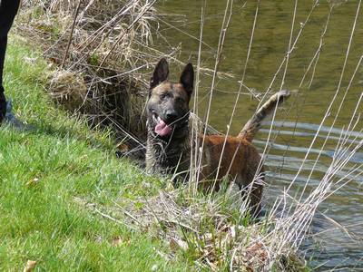 baden
