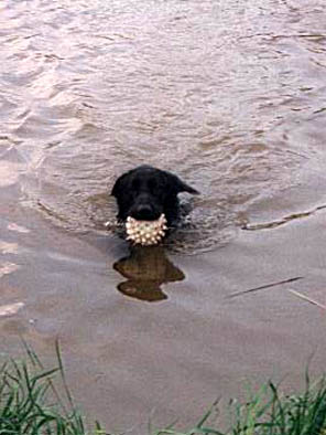 baden
