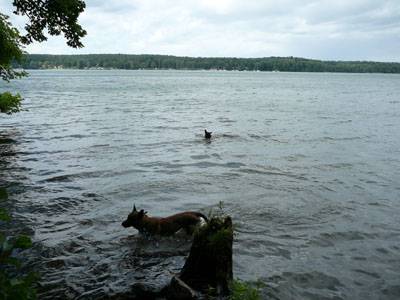 baden
