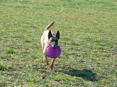 Frisbee