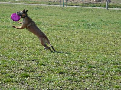 Frisbee