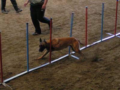 Slalom