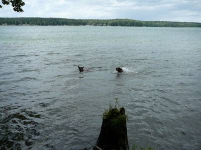 Werbellinsee