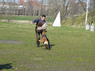 vpg training