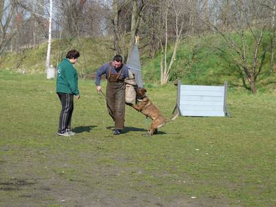 vpg training
