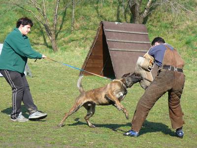 vpg training