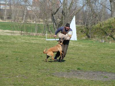 vpg training
