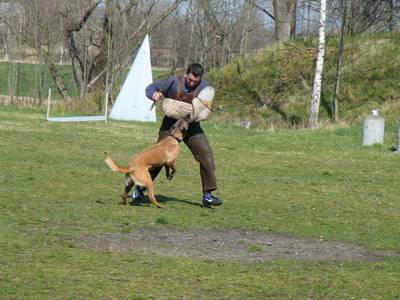 vpg training