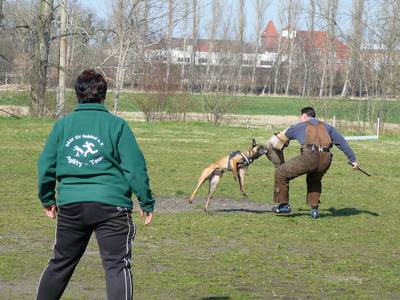 vpg training