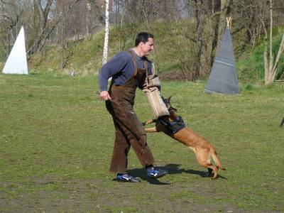 vpg training