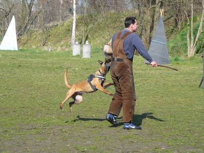 vpg training