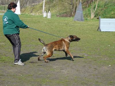 vpg training