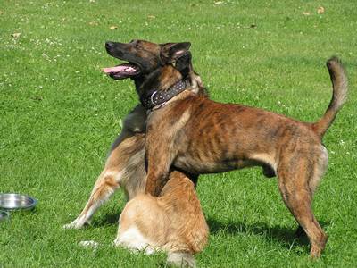 Senna und Emma