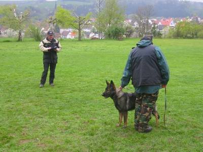 Talentsichtung 