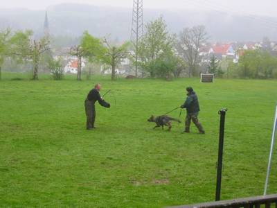 Training 