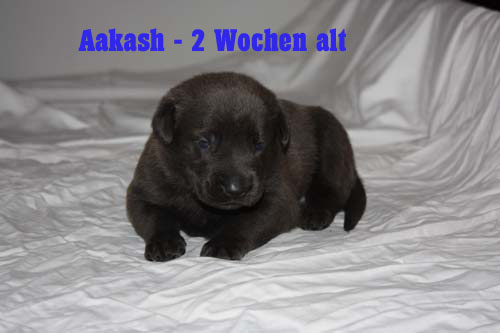 akash zwei wochen 